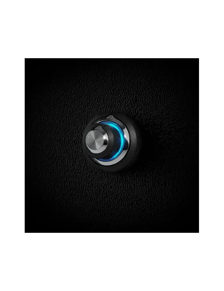 Pilot zdalnego sterowania JL AUDIO DRC-205 | Precyzyjna kontrola