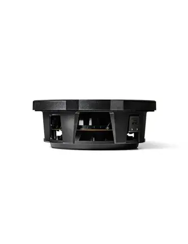 Subwoofer ALPINE RS-W10D2 | 10" | Dwucewkowy | 2 Ω