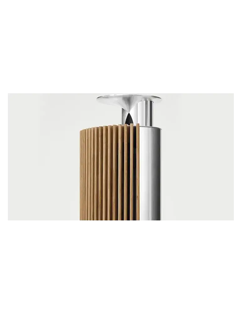 Bang&Olufsen Beolab 18 Silver Oak - Kolumny głośnikowe aktywne - Outlet - WAW_AF