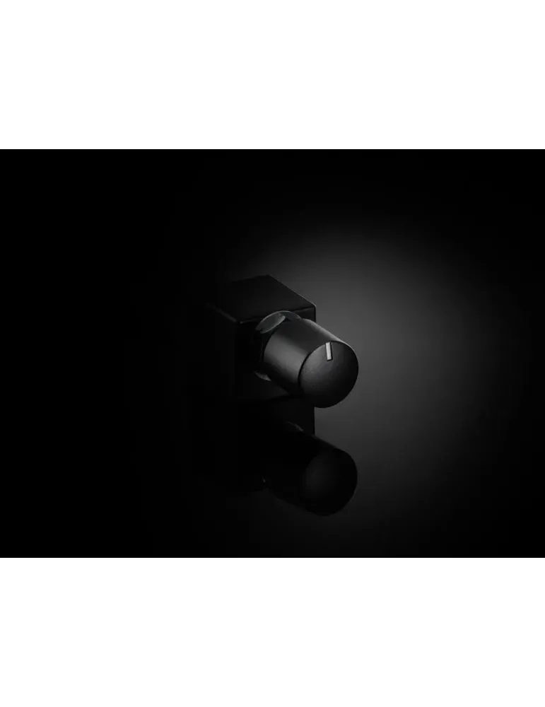 Pilot zdalnego sterowania | DRC-100 | JL AUDIO