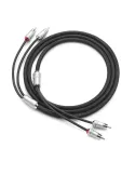 Kabel RCA JL Audio XE-BLKAIC2-6 | 1,83 m | ekranowany | JL AUDIO