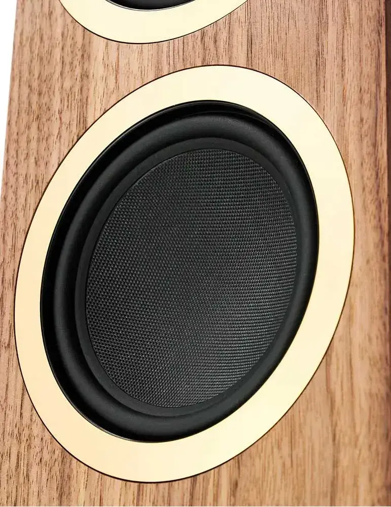 Argon Audio Forte A55 | Aktywne kolumny WiFi | Wyjątkowy dźwięk