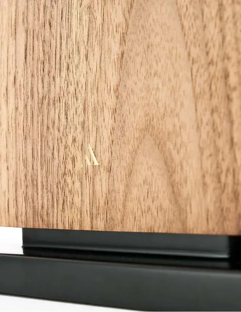 Argon Audio Forte A55 | Aktywne kolumny WiFi | Wyjątkowy dźwięk