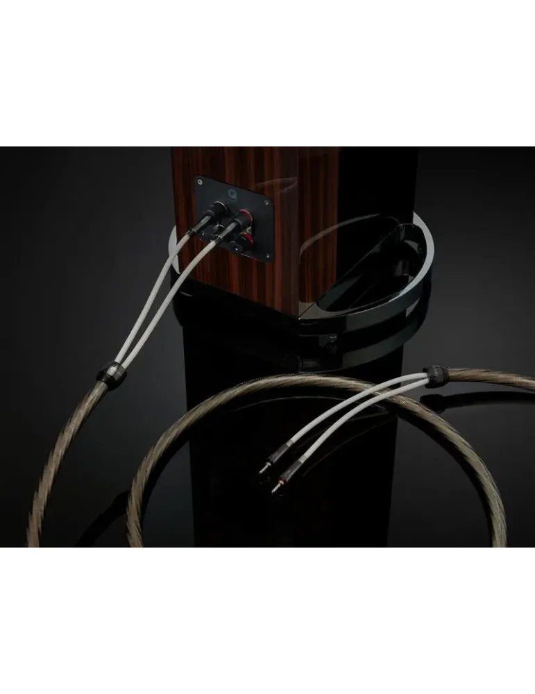 QED Supremus Zr – flagowy kabel głośnikowy klasy high-end