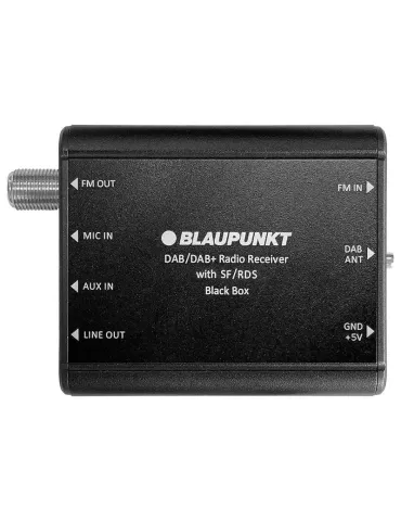 Adapter DAB+ Blaupunkt DAB'N'PLAY 550 | Bluetooth | BLAUPUNKT 2