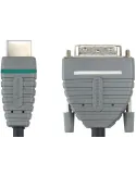 Bvl1105