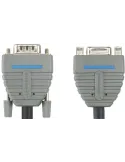 Bcl1005