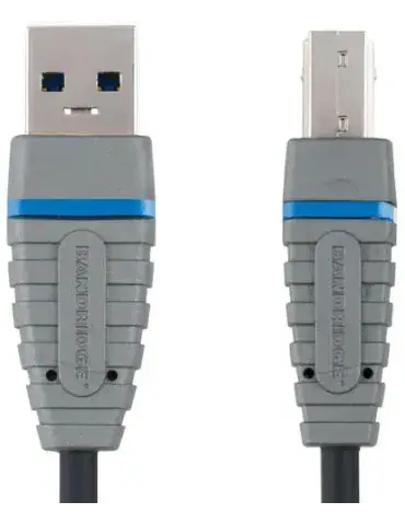 Bcl5103