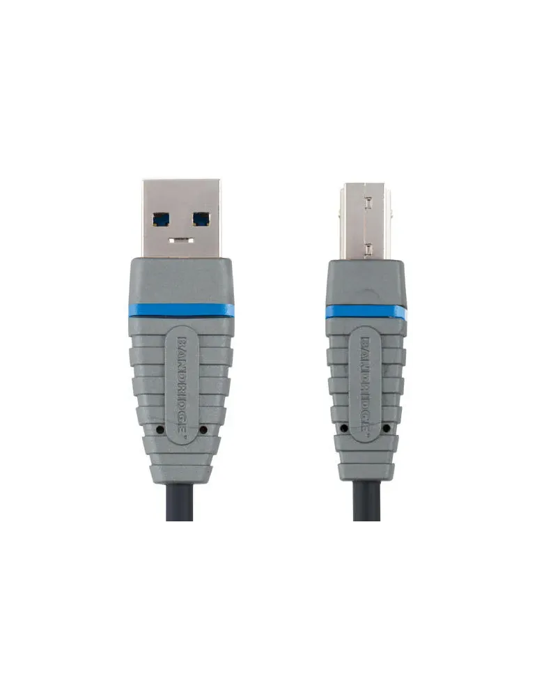 Bcl5103