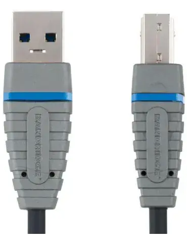 Bcl5102
