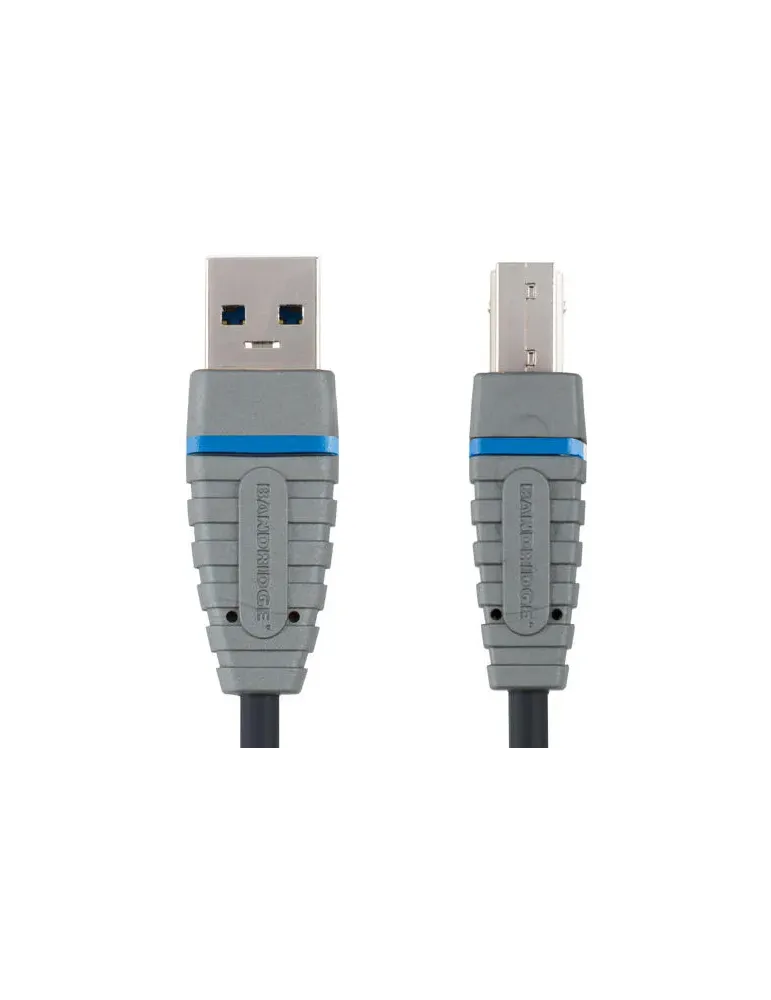 Bcl5102