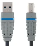 Bcl5102