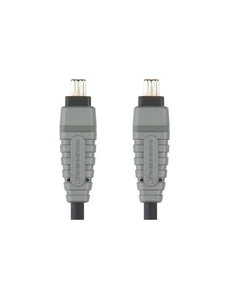 Bcl6102