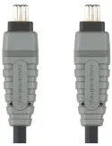 Bcl6102