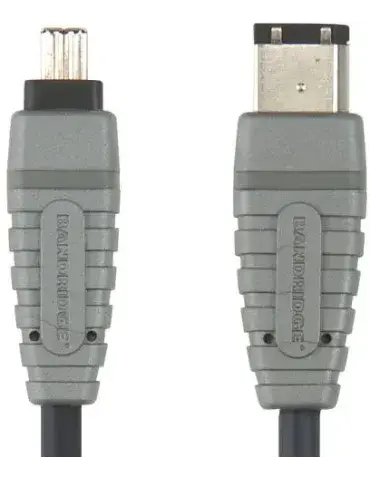Bcl6202