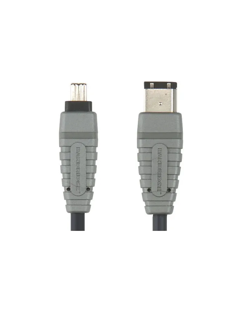 Bcl6202