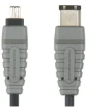 Bcl6202