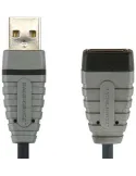 Bcl4305