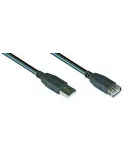 Vcl4305