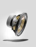 Subwoofer FOCAL CAR P 25 FE | 10" | Potężny bas