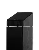 Wilson Raptor X — Kolumny głośnikowe Dolby Atmos do kina domowego