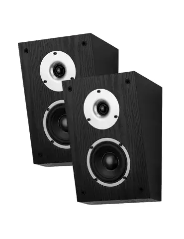 Wilson Raptor X — Kolumny głośnikowe Dolby Atmos do kina domowego