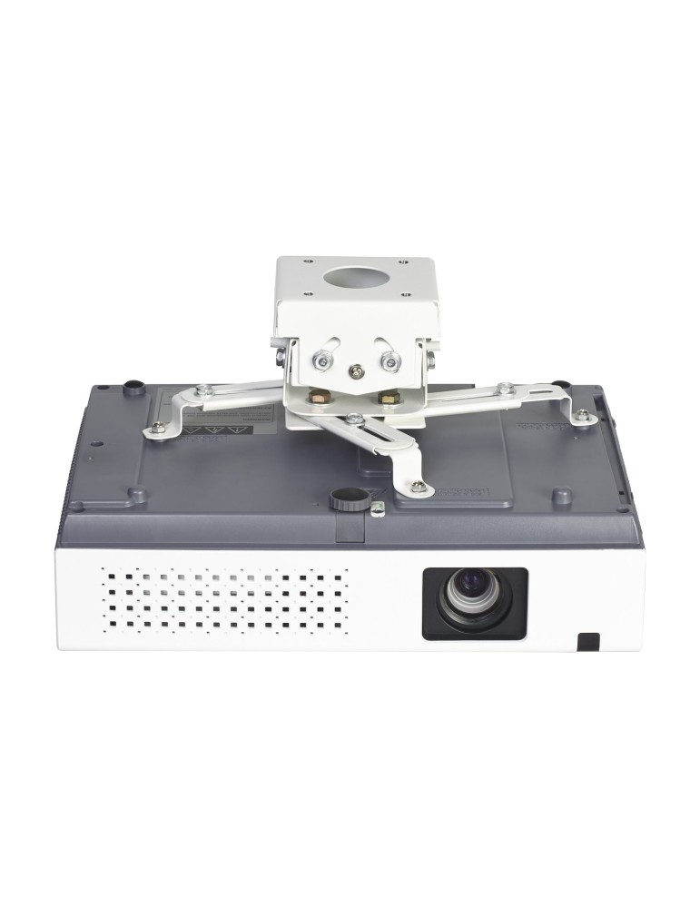FONESTAR SPREL-1B