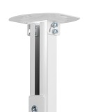 FONESTAR SPR-549B