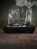 Argon Audio Vestlyd PRO T2 - Gramofon z napędem bezpośrednim i wkładką Ortofon VNL