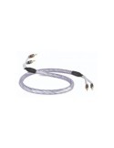 QE1482 Przewód głośnikowy QED GENESIS z wtykami bananowymi 2x2.5m - OUTLET - GLO