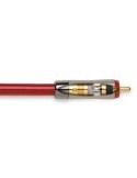 QED REFERENCE AUDIO 40 Przewód stereo [2x RCA M - 2x RCA M] - 0.6m - OUTLET - GLO
