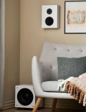 Argon Audio Forus 4W – naścienna kolumna głośnikowa