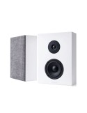 Argon Audio Forus 4W – naścienna kolumna głośnikowa