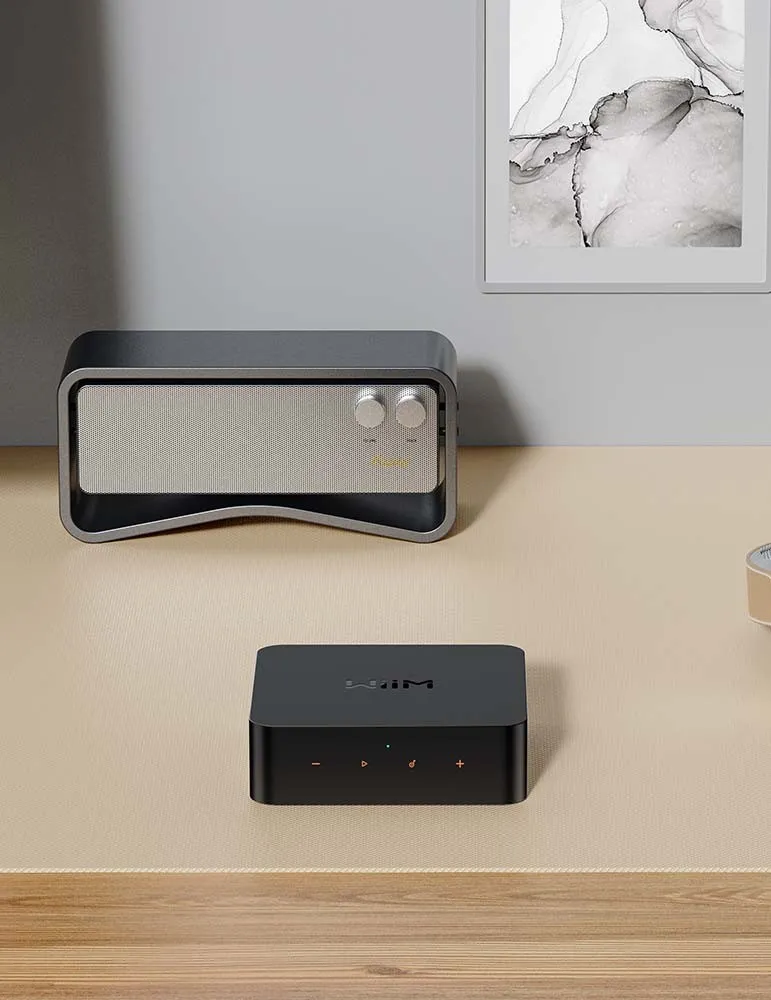 WiiM Pro Odtwarzacz Strumieniowy – Audio Hi‑Fi