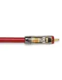 QED REFERENCE Audio 40 | Kabel stereo RCA-RCA