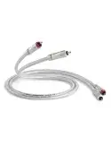 Kabel stereo QED Signature 40 | 2x RCA M - 2x RCA M