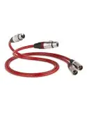 Przewód stereo QED Reference Audio | 2x XLR - 2x XLR