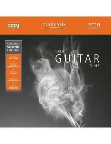 LP GREAT GUITAR TUNES (2 LP)
