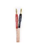 Przewód głośnikowy 2x4mm | SPK CABLE 4.0MM | WILSON