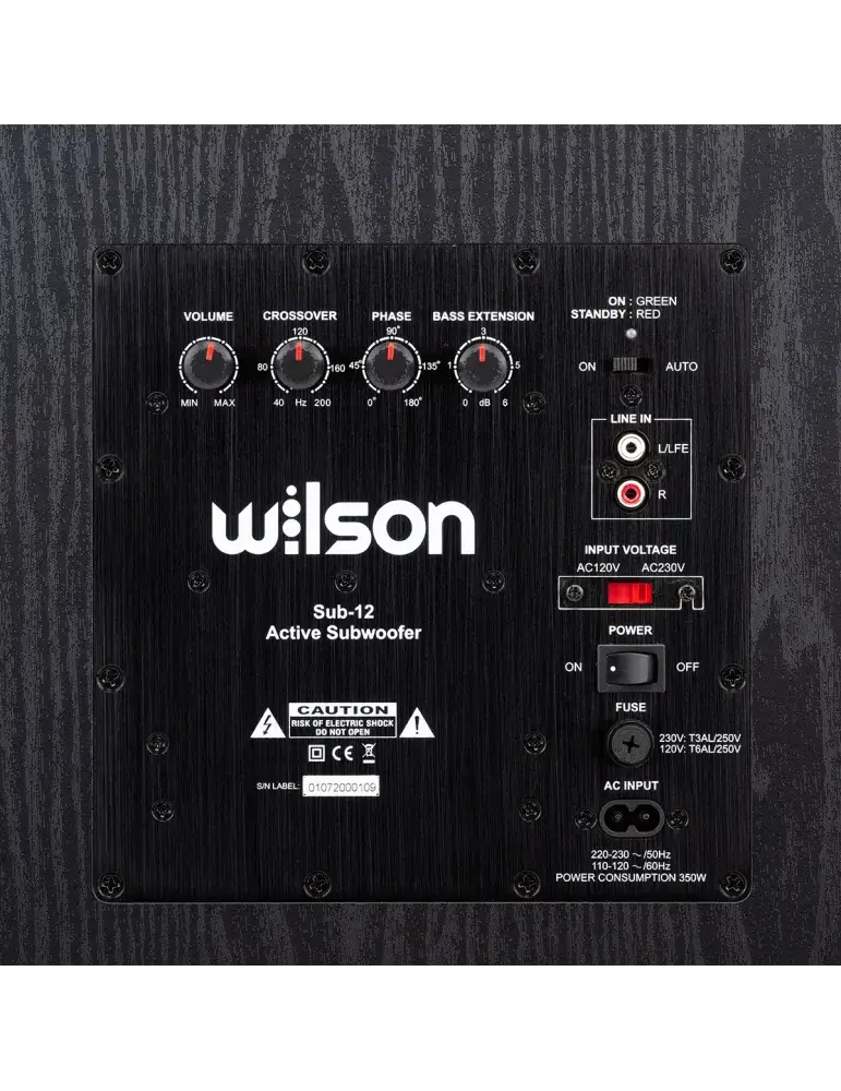 Subwoofer WILSON SUB-12 | Potężny bas | 250W mocy