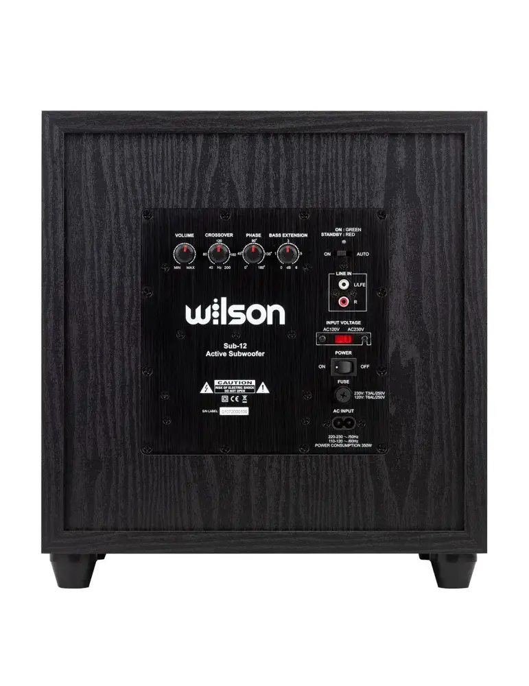 Subwoofer WILSON SUB-12 | Potężny bas | 250W mocy