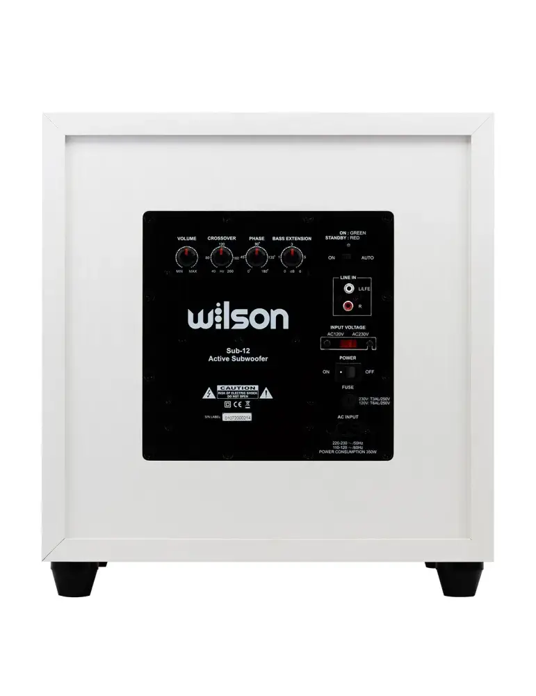 Subwoofer WILSON SUB-12 | Potężny bas | 250W mocy