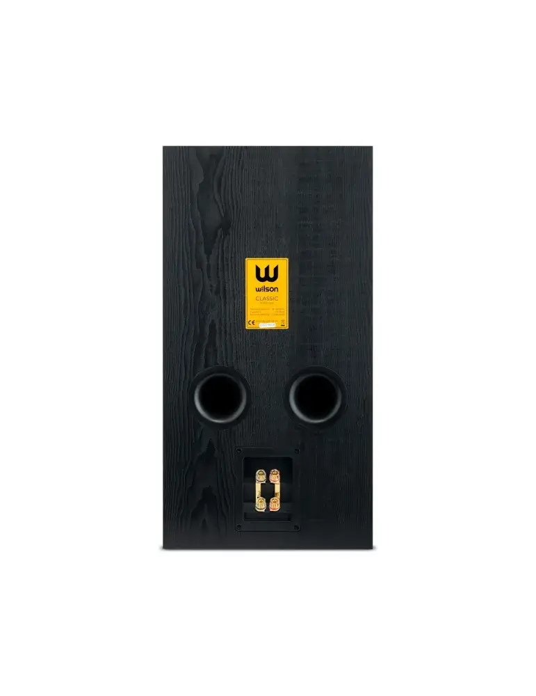 Kolumny głośnikowe Wilson Classic | WILSON | Elegancki design