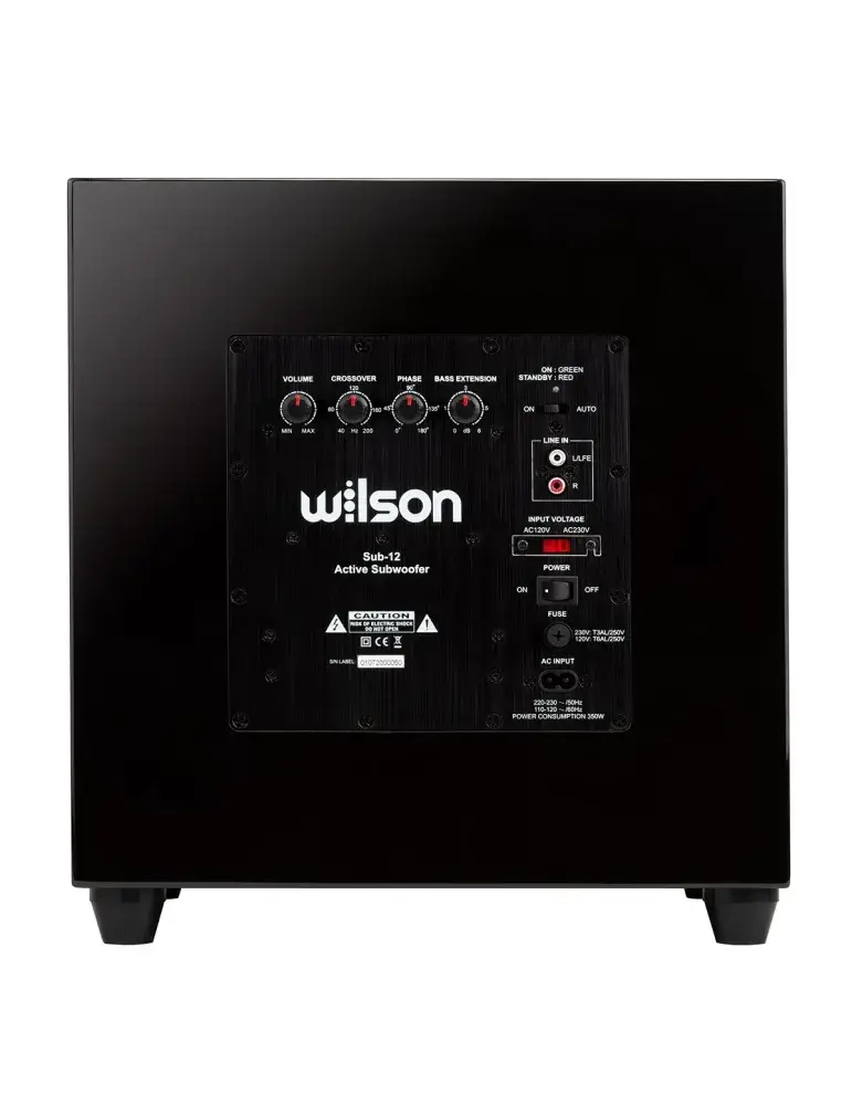 Subwoofer Wilson SUB-12 HGL | Potężny bas 250W