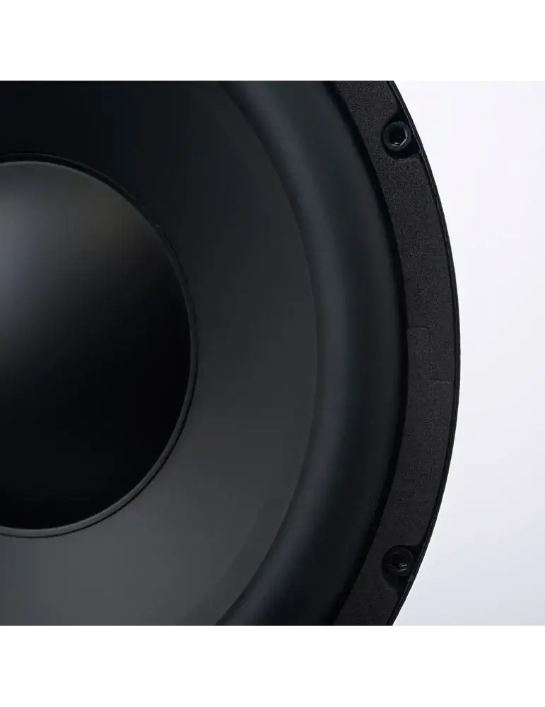 Subwoofer Wilson SUB-12 HGL | Potężny bas 250W
