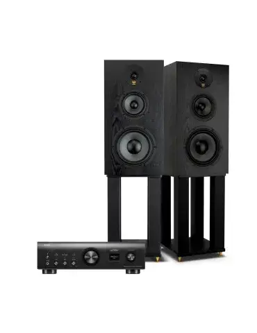 Zestaw stereo Denon PMA-900NE | Wilson Classic | Stand