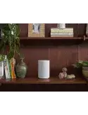 Sonos Era 100 — Głośniki Multiroom z Bluetooth i Wi-Fi
