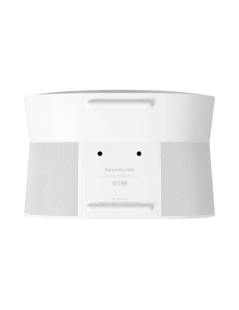 Sonos ERA 300 | Głośnik Multiroom | Zanurz się w dźwięku