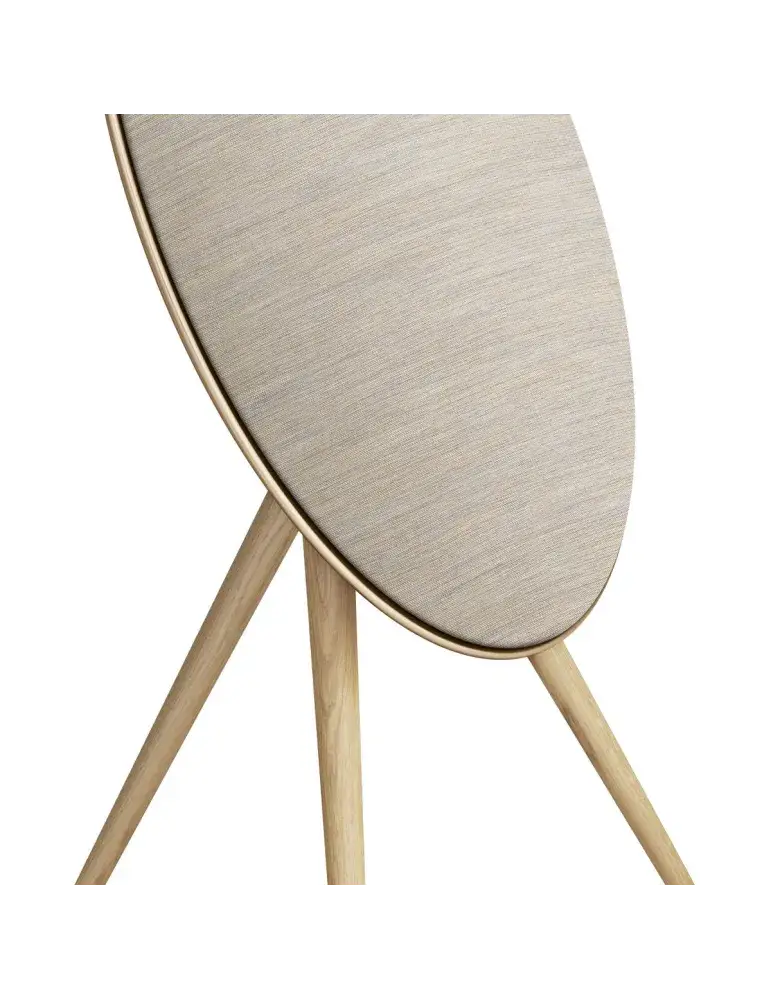 Beosound A9 5th GEN | Ikoniczny dźwięk | BANG & OLUFSEN