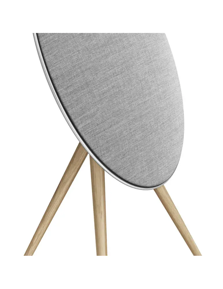 Beosound A9 5th GEN | Ikoniczny dźwięk | BANG & OLUFSEN
